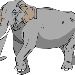 elefanti