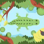 crocodil