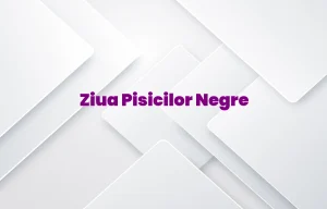 ziua pisicilor negre