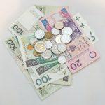 ce inseamna plata domestica