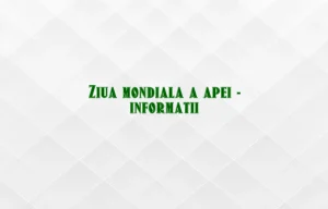ziua mondiala a apei informatii