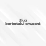 ziua barbatului amuzant