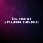 ziua mondiala a pasarilor migratoare